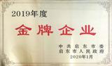 2019年度金牌企业.jpg